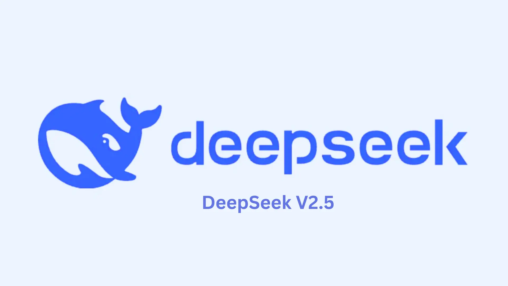 DeepSeek V2.5-The Grand Finale
