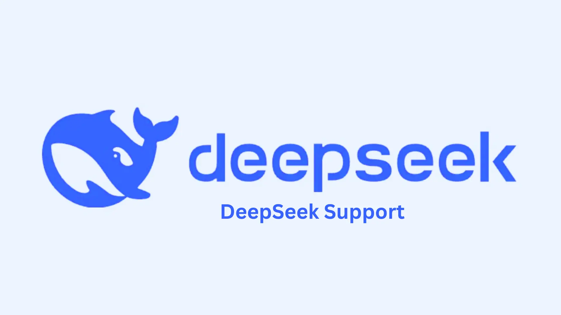 How To Contact Official DeepSeek Support?