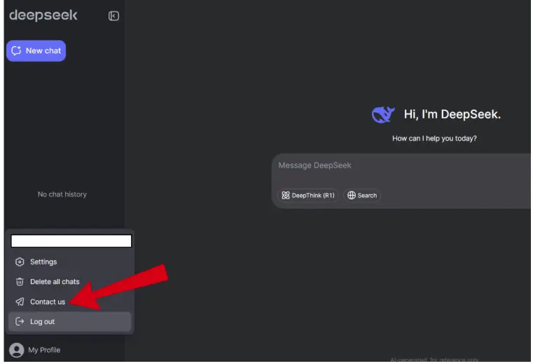 opdeepseek-Deepseek-support
